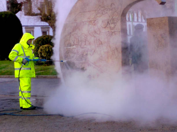 Best Local Pressure Washing Services  in Fort Polk South, LA